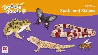 Chip 2 - Unit 4 - Story for kids - Spots and stripes