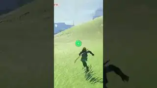This game really has me clipping birds 😭 #gaming #tearsofthekingdom #zelda