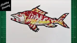 How to Draw an Australian Sergeant Baker Fish
