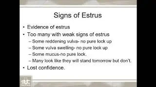 Dr. Jake Schwartz - Our experience investigating silent estrus in gilts
