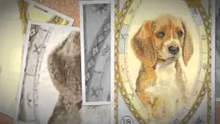 Lenormand karten - Mit Astrologischen Symbolen