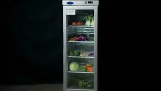21 compact glass single door refrigerators YCF9401