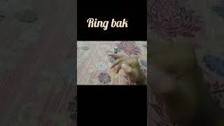 Bakfall pen spinning tutorial #anime #penspinning #art #penspin #drawing #craft
