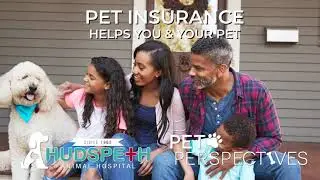 Pet Insurance - Pet Perspectives