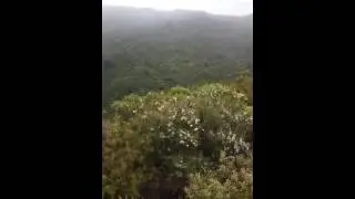 Maratoto summit