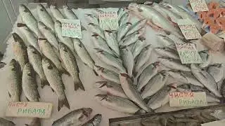 🐟Тайната за чистене на Ципура БЕЗ  хвърчащи люспи?🐟/ How to Clean a Sea Bream (No Mess Strategy!)🐟