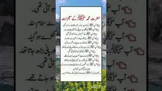 Islamic Quotes That Will Touch Your Heart 💖 | Quran & Hadith Motivation 2026&rdquo;.