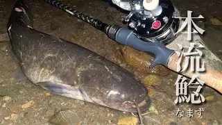 豪快に狙う！本流ウェーディングナマズの魅力。【no fish styleの教科書その4】