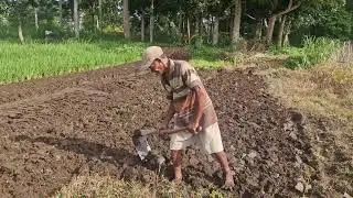 SMART FARMER TRICKS: CULTIVATE RICE FIELDS QUICKLY USING SIMPLE TOOLS! - Agriculture Farming