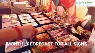 SCORPIO MARCH MONTHLY FORECAST 2020 A PATH TO A NEW JOURNEY