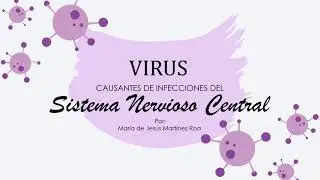 Virus causantes de infecciones del SNC-Mar&iacute;a Roa