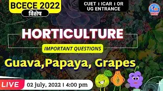 BCECE 2022 HORTICULTURE important questions | Guava, Papaya, Grapes | CUET or other Entrance Exam