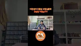 이찬성이 다른샵 사장님께 죄송한 이유는?? #oktv  #크레스티드게코 #송도파충류샵#송도파충류  #reptiles #파충류 #게코 #오케이게코