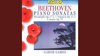 Piano Sonata No.17 in D minor Op. 31 No. 2: I. Largo - Allegro