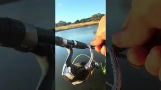 Therapy fishing