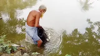 Amazing Net Fishing in Village | Old Man Catching Fish with Cast Net | Net Fishing Video