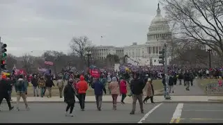 Trump's second impeachment trial underway