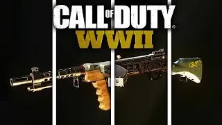 Every TYPE 100 VARIANT In COD: WW2! (ALL HEROIC AND EPIC VARIANTS)