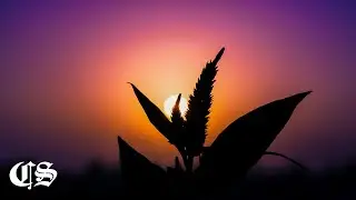 Music That Makes You Feel Good | 