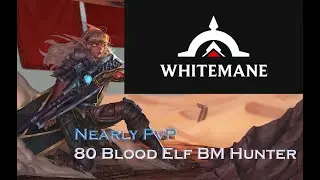 Nearly PvP - Envoy of Mortality / Blood elf Hunter 80 BM