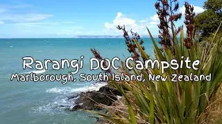 Rarangi DOC Campsite, Marlborough, South Island, New Zealand