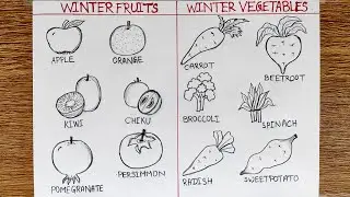 Winter Fruits | Winter Vegetables | Winter Fruits and vegetables drawing | Easy fruits drawing