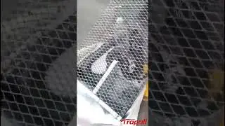 Metal Live Catch Snake Mouse Trap Cage with Two Doors