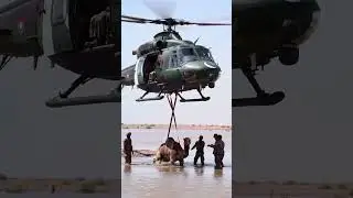 Pakistani Army help flooded people rescue his animal with helecapter #pakistan #army
