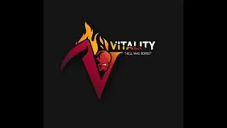 Vitality | Not The Right Guild #Vitality #Vita