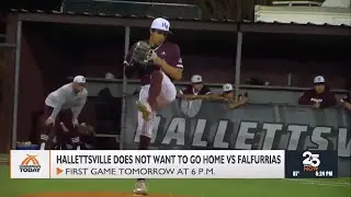 Hallettsville baseball looks to keep success vs Falfurrias