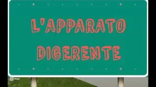 L' apparato digerente