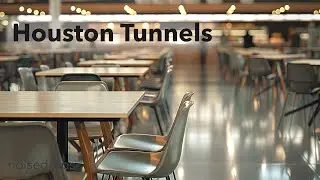 Downtown Food Hall &mdash; Corporate Lunch Ambience (1 Hour)