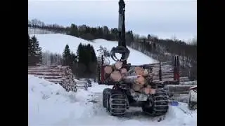 T&oslash;mmerdrift i Furuhaugmarka