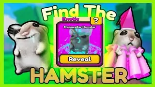 Guide How To Get STORMCALLER HAMSTER On Roblox Find The Hamsters!