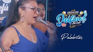 Mix Palabritas D.R. - Orquesta Delfines