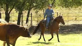 Erick - working cows! - ValleyViewRanch.net