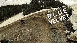 Blue Velvet (Upper) ❱ Garbanzo Zone ❱ Whistler Bike Park ❱ Downhill MTB POV