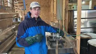 Filtering maple syrup