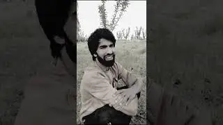 Khander Te Rishtdar 🤣 || Top Funny Reels by Hooy 2024 || DD kuklistan