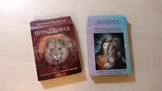 37. Goddesses + Animal Spirits Knowledge Cards - unboxing