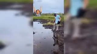 New Funny Videos 2020 People doing stupid things P144