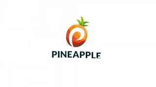 Pineapple Payments Hosted Payment Page