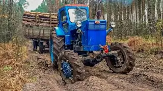 Т 40АМ Работа в лесу 2021 Перевозка дров с телегой  | тюнинг | Застрял | Груженый лесом ОФФРОАД