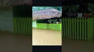 Inundaciones y desbordamiento de r&iacute;os. &iquest;qu&eacute; hacer para evitarlos? #shorts #video #fyp