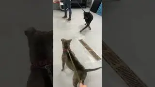 Chai and Gilbert Arenas meet