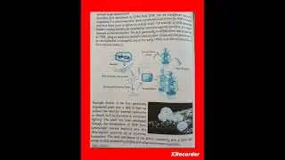 Unit 11: Genetically Modified Organisms (GMO) &ndash; Benefits, Risks & Applications | KP Board English