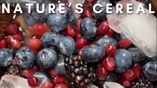 NATURE'S CEREAL | THE GOLDEN BALANCE