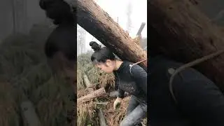 Beautiful and hard working girl  - Videos Compilation | Real Life Working