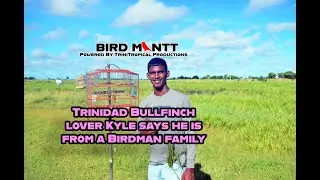 Bird ManTT episode7 Kyle with his Trinidad Bullfinch 🌍Bullfinch, Curio of Brazil and Towa Towa