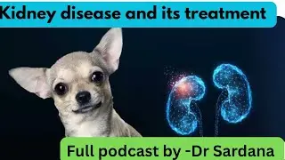 Podcast -Kidney Disease in Dogs Explained | Dialysis, Treatment & Hope for Pet Parents